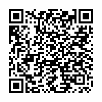 QR Code für BSV Sachsen Zwickau - Borussia Dortmund